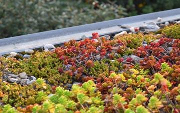 the cost of Rhiwceiliog green roof installation