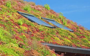 Rhiwceiliog living roof systems